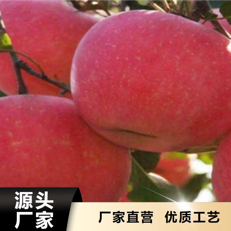 紅富士蘋果大品牌值得信賴