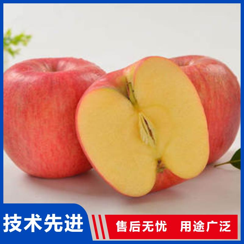 【紅富士蘋(píng)果】嘎啦果信譽(yù)有保證