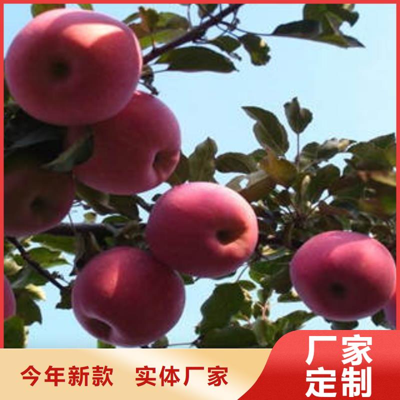 紅富士蘋(píng)果_紅富士蘋(píng)果批發(fā)用心做好細(xì)節(jié)