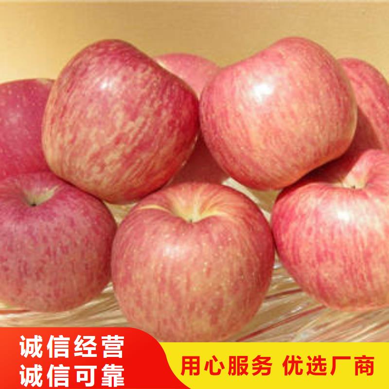 【紅富士蘋果紅富士蘋果批發(fā)產(chǎn)地源頭好貨】