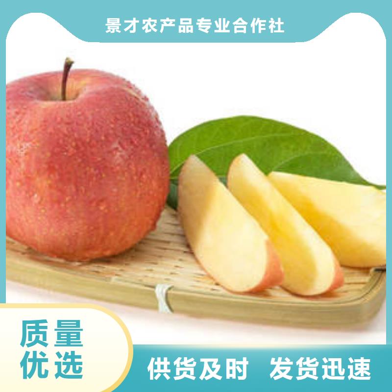 【紅富士蘋果】,紅富士蘋果批發(fā)專業(yè)的生產(chǎn)廠家