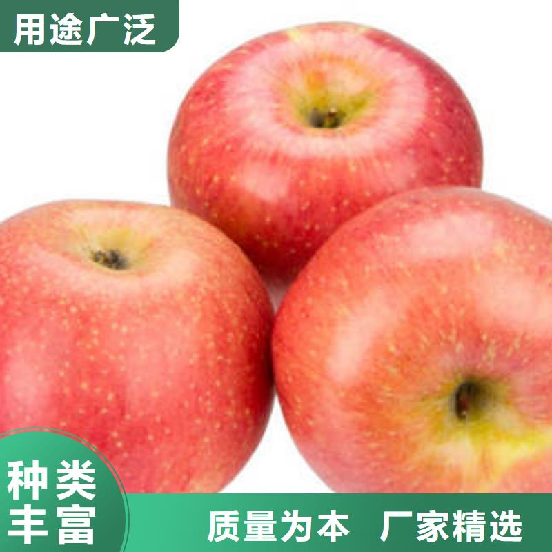 【紅富士蘋果_蘋果種植基地產(chǎn)品性能】