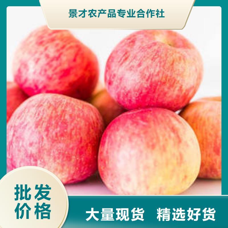 【紅富士蘋果】_紅富士蘋果產(chǎn)地制造廠家