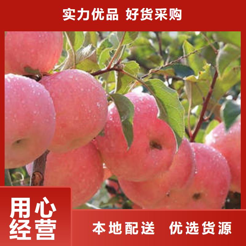 紅富士蘋(píng)果-蘋(píng)果原料層層篩選