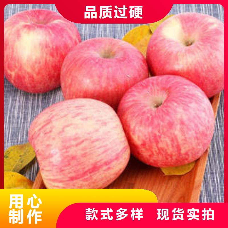 【紅富士蘋果】_紅富士蘋果產(chǎn)地制造廠家