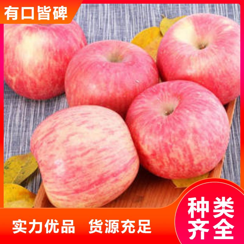 【紅富士蘋果】_紅富士蘋果產地制造廠家