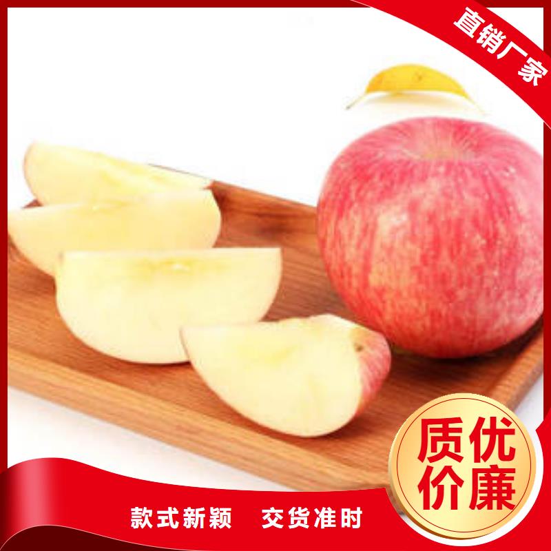 红富士苹果苹果批发质保一年
