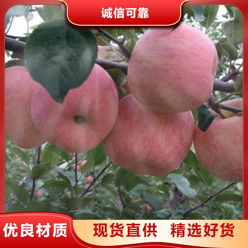 红富士苹果-苹果应用广泛