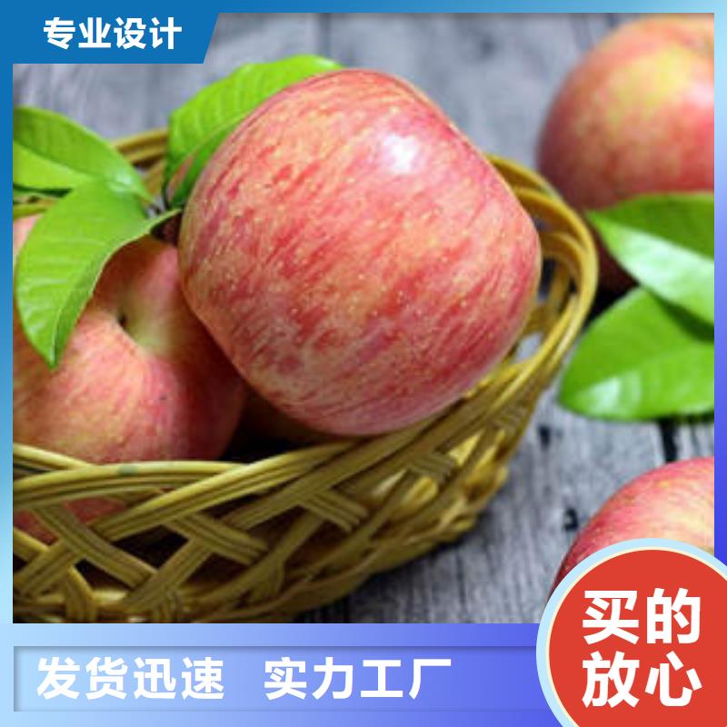 红富士苹果产地货源