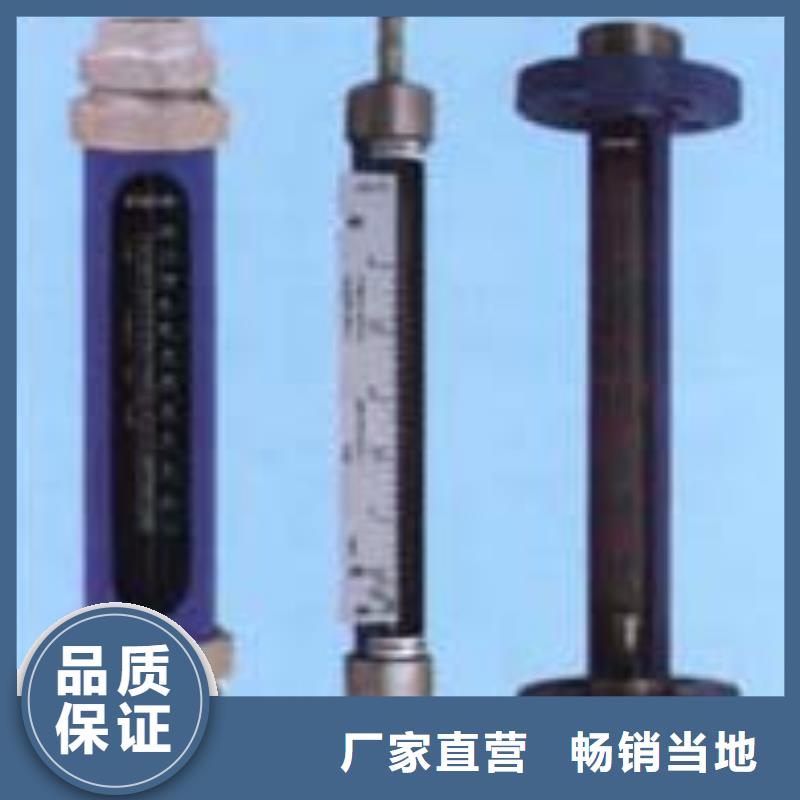 G10空氣流量計(jì)廠家直銷值得選擇