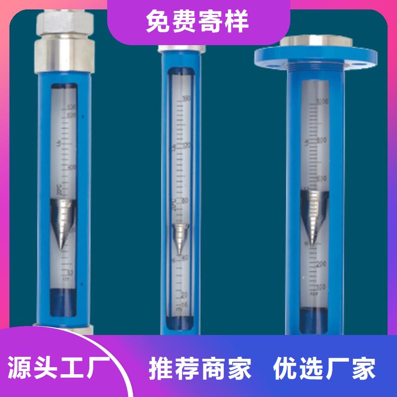 G10_氢气玻璃转子流量计设计合理