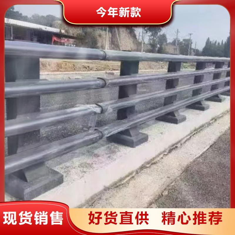 专业销售公路两侧栅栏-大型厂家