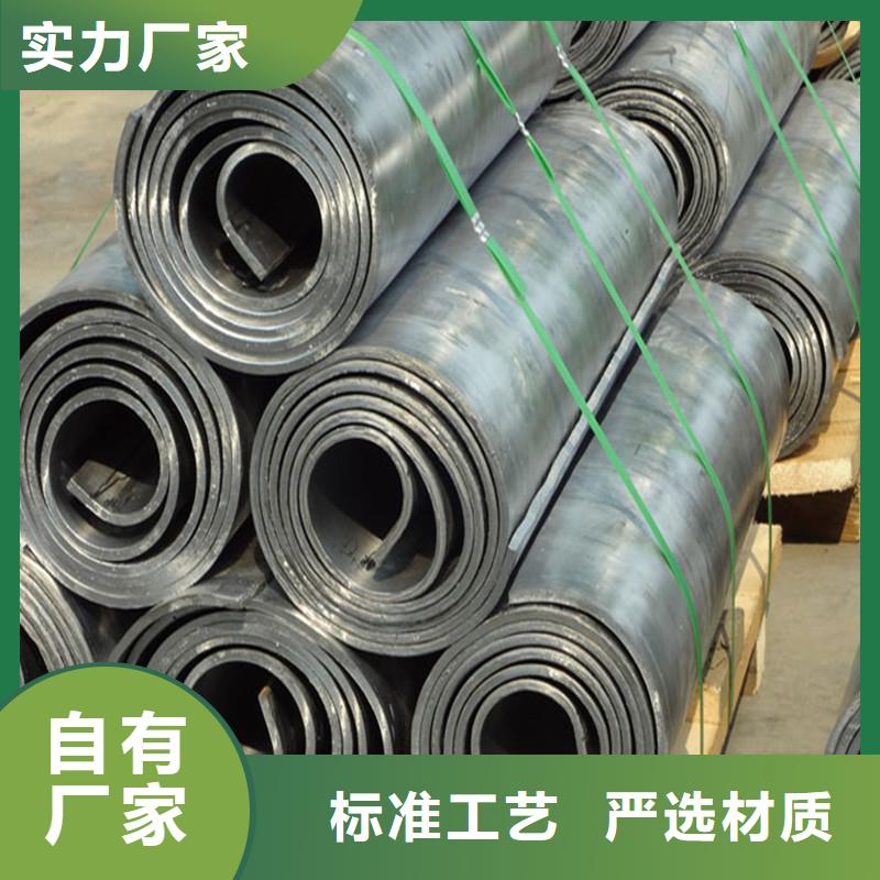 电动推拉铅门价格/报价