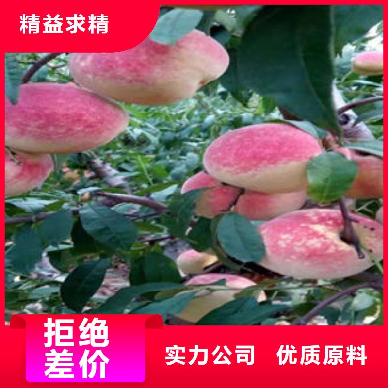 桃樹(shù)苗花椒苗價(jià)格低