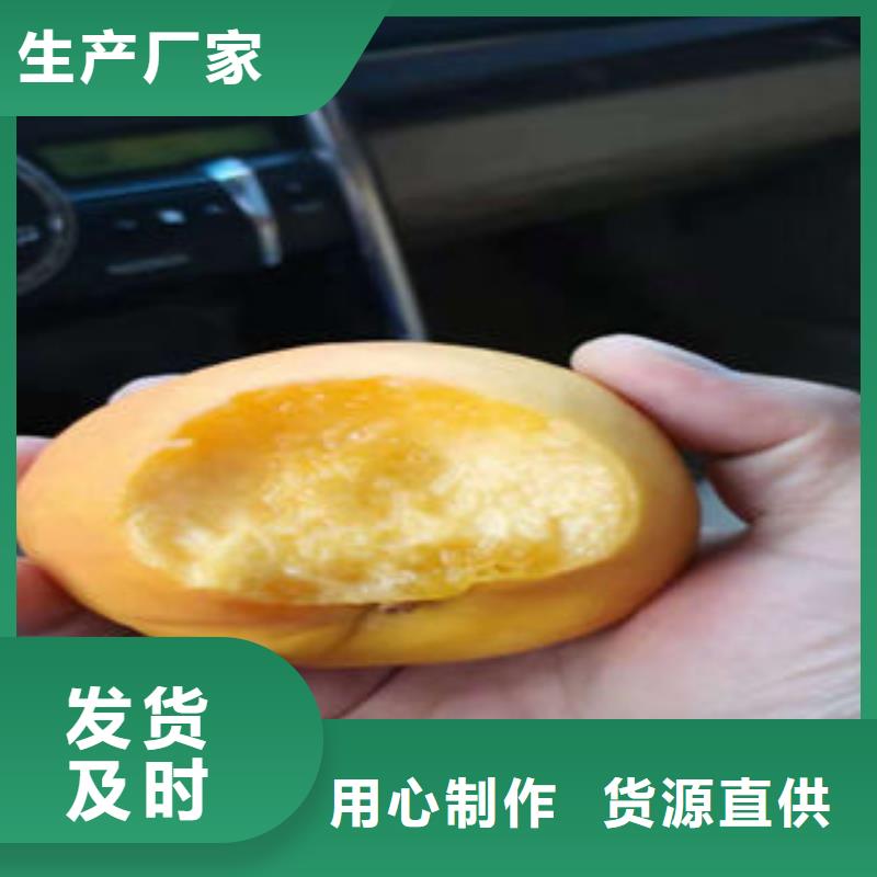 【桃樹苗】梨樹苗對質量負責