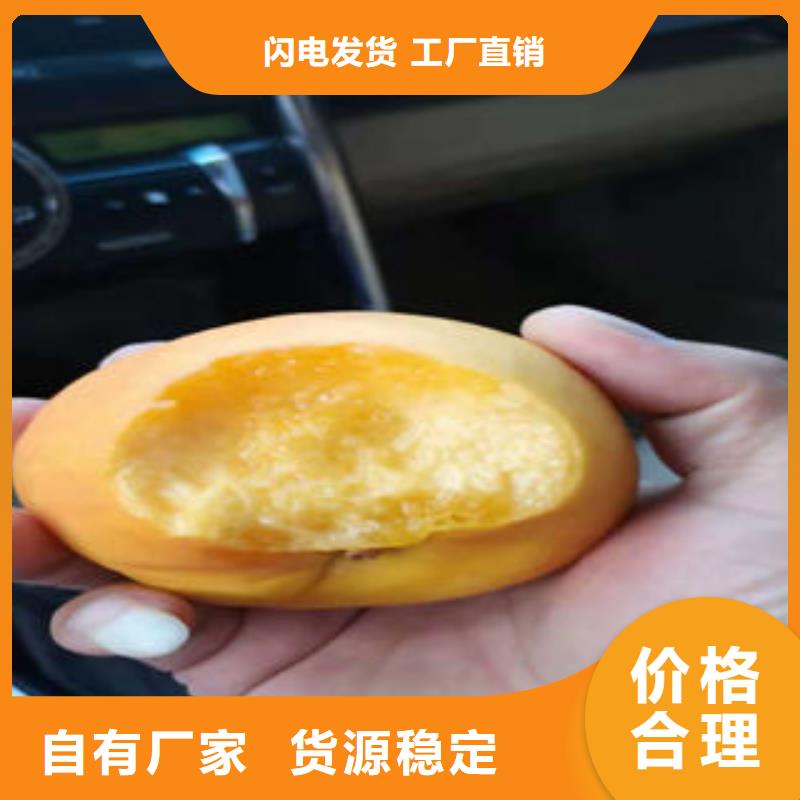 桃樹苗,【蘋果苗】檢驗發貨