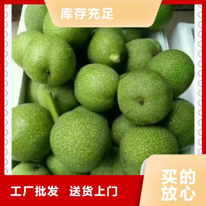 核桃苗梨樹(shù)苗今日價(jià)格