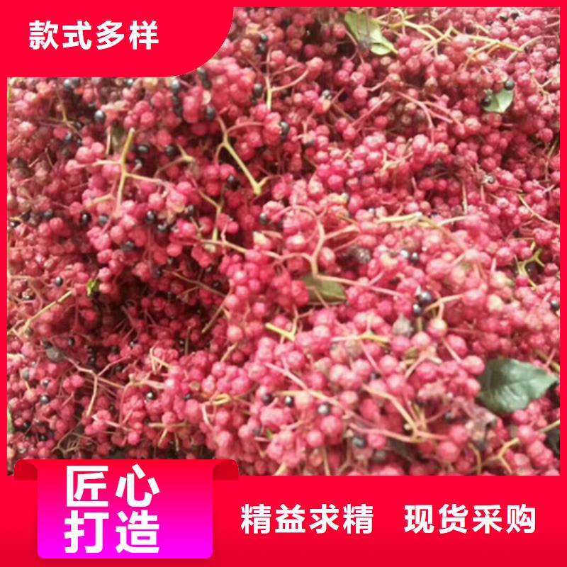 花椒苗,核桃苗核心技术