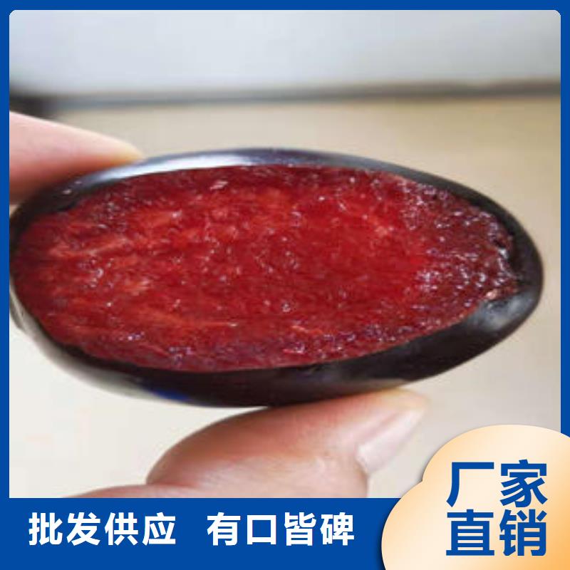 【李子苗板栗苗分類和特點(diǎn)】