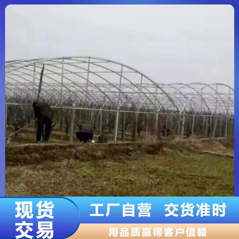 管材熱鍍鋅圓鋼品質信得過