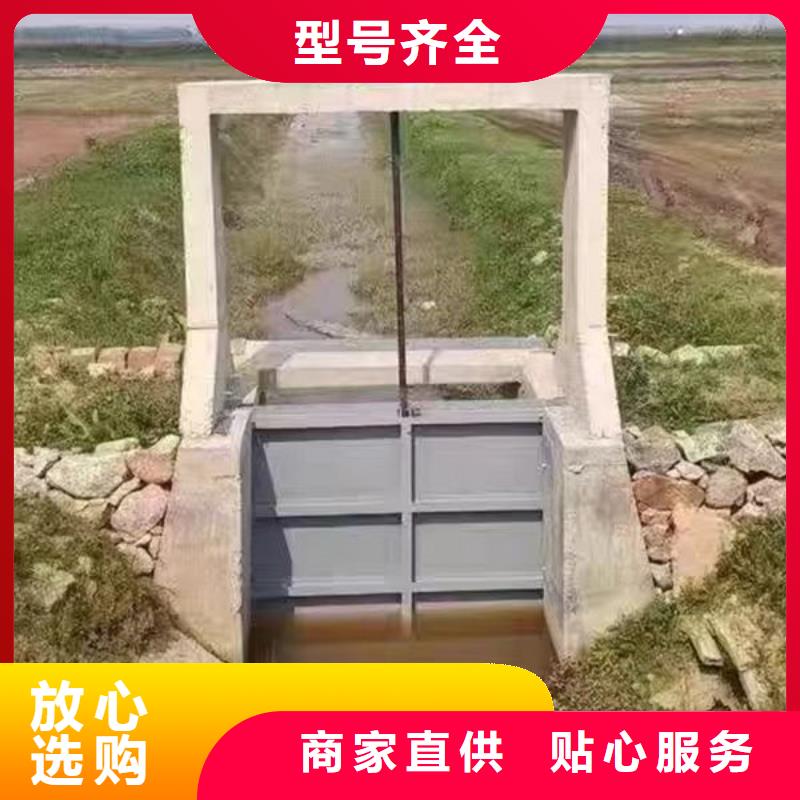 铸铁闸门_河道铸铁闸门精品优选