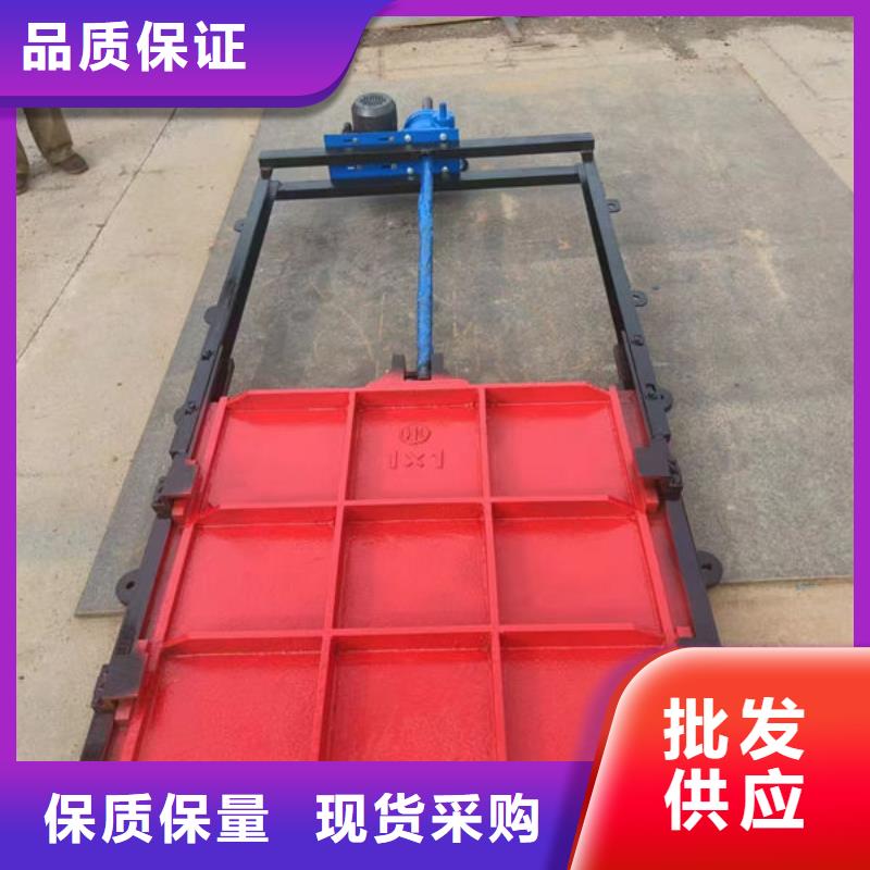 鑄鐵閘門鑄鐵拍門多行業(yè)適用