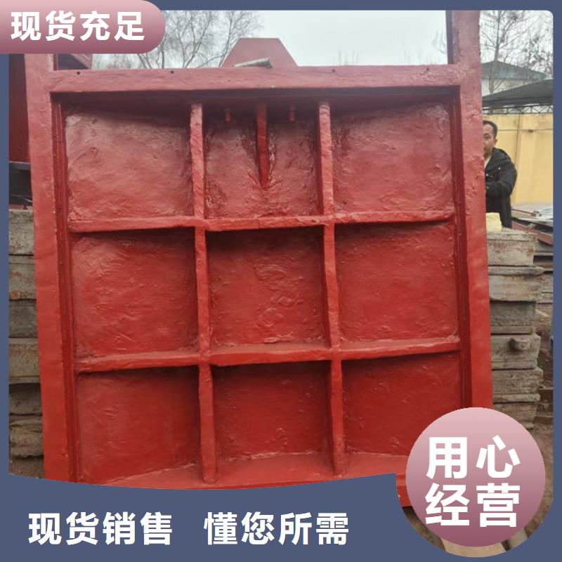铸铁闸门_双向止水闸门品种全