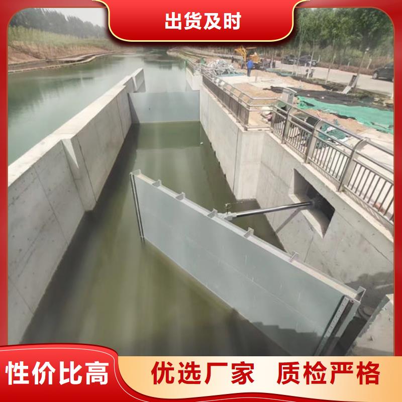 钢坝闸门钢制拍门支持加工定制