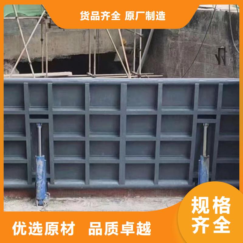 钢坝闸门合页钢坝产地厂家直销