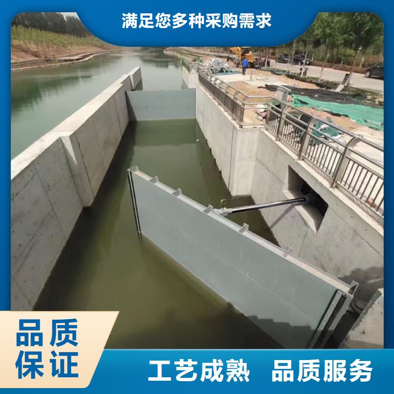 钢坝闸门钢制拍门支持加工定制
