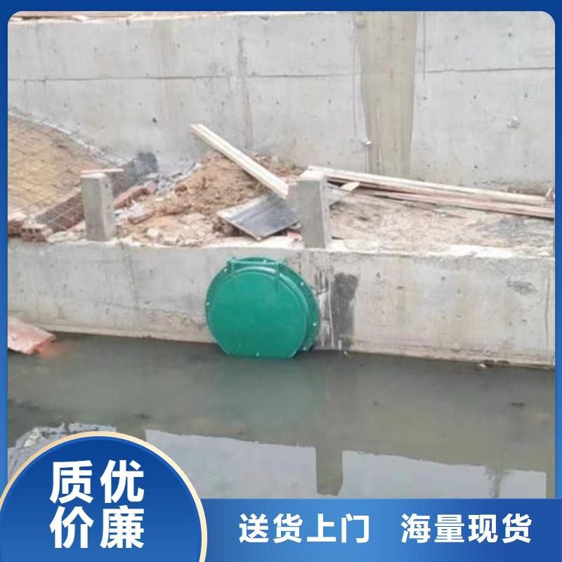 拍门-铸铁拍门厂家采购