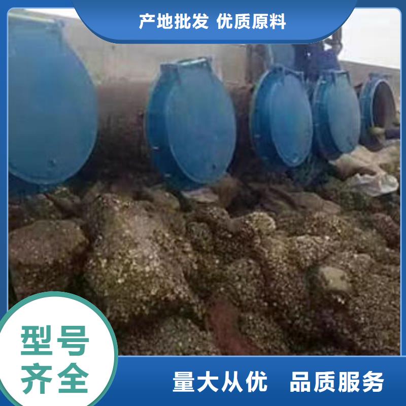 拍門_球墨鑄鐵拍門隨心所欲定制