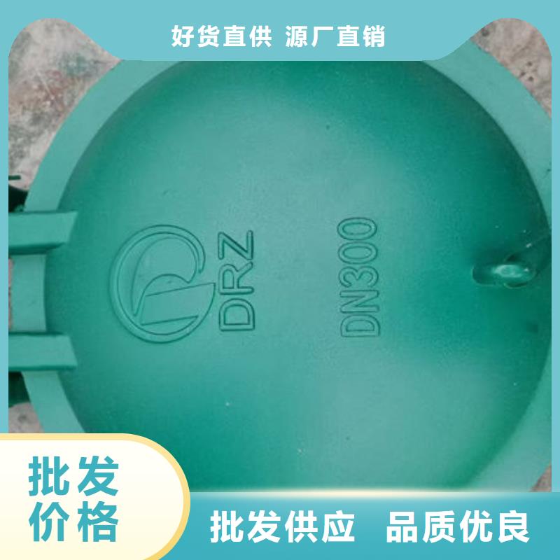 拍门钢拍门真材实料