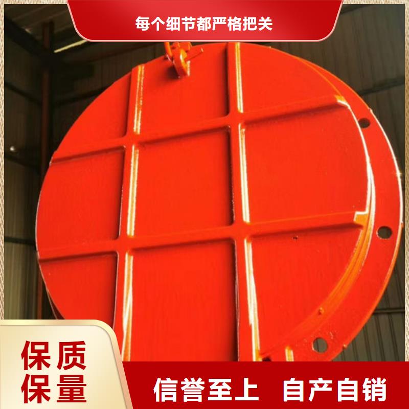 拍門球墨鑄鐵拍門供您所需
