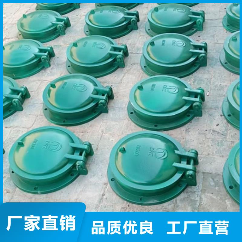 拍門球墨鑄鐵拍門供您所需