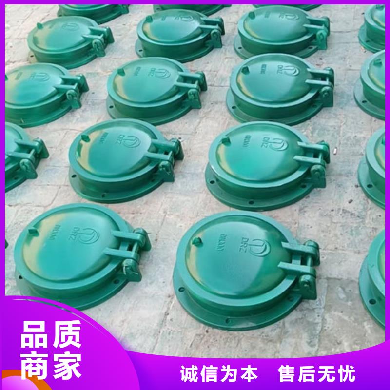 拍門球墨鑄鐵拍門供您所需