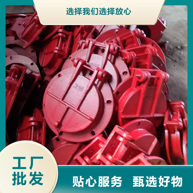 拍门钢拍门真材实料