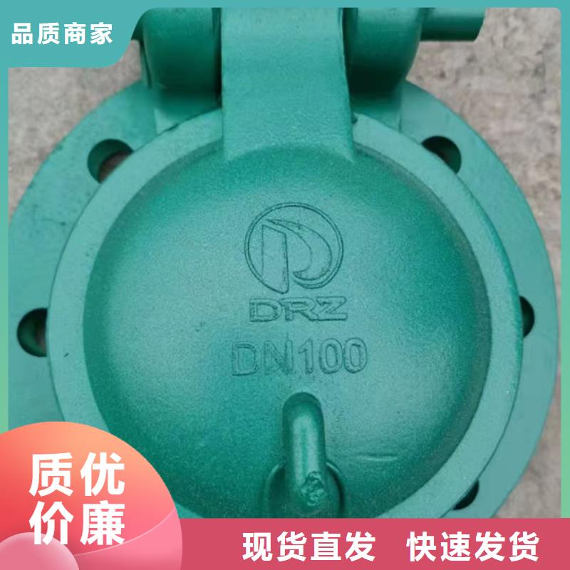 拍门钢制拍门今日价格