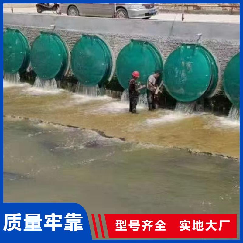 拍门圆拍门为您精心挑选