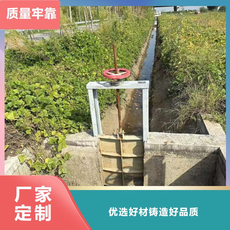 不銹鋼閘門單面止水不銹鋼閘門多家倉庫發(fā)貨