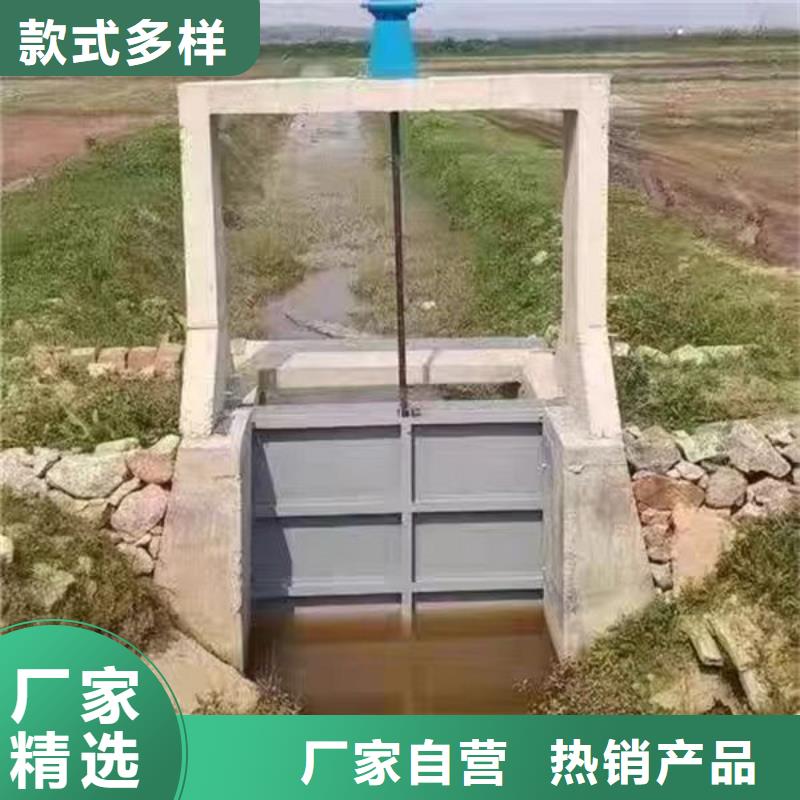 不銹鋼閘門-平面定輪鋼制閘門支持大批量采購