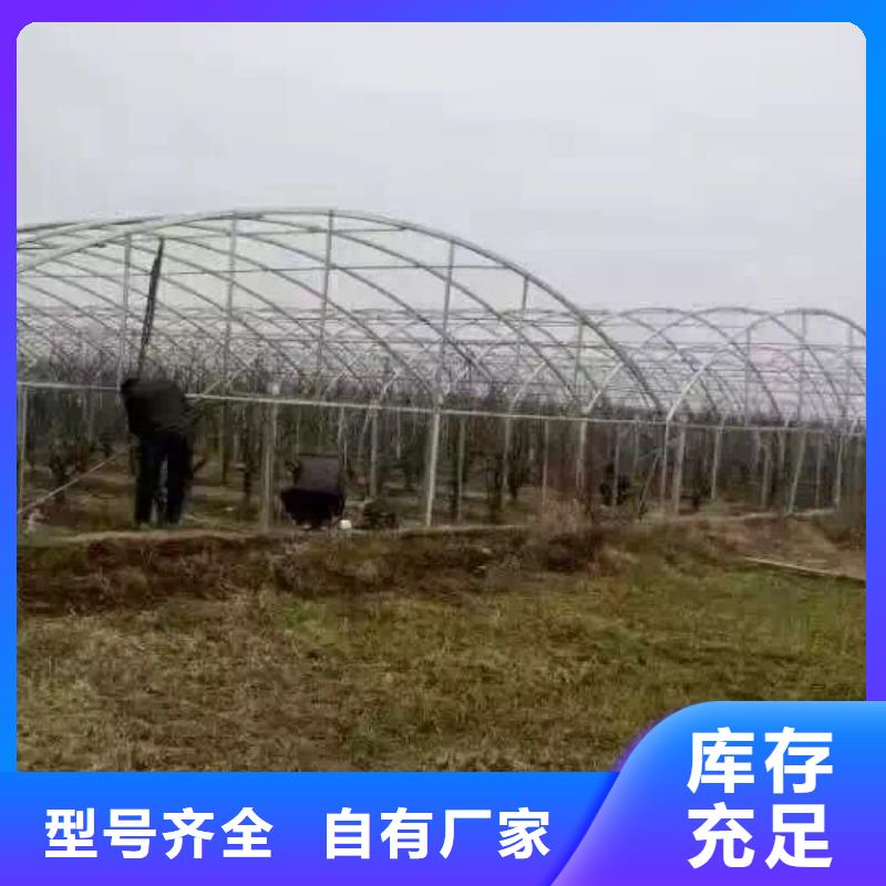 鍍鋅鋼管H型鋼拋丸噴漆廠家貨源穩(wěn)定