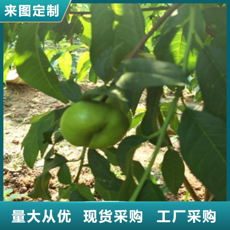 桃樹(shù)_泰山景松造型景松拒絕偽劣產(chǎn)品