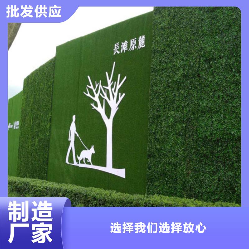 草坪围挡人造草坪围挡产地直供