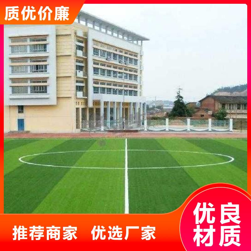 塑膠場地EPDM塑膠跑道原廠制造