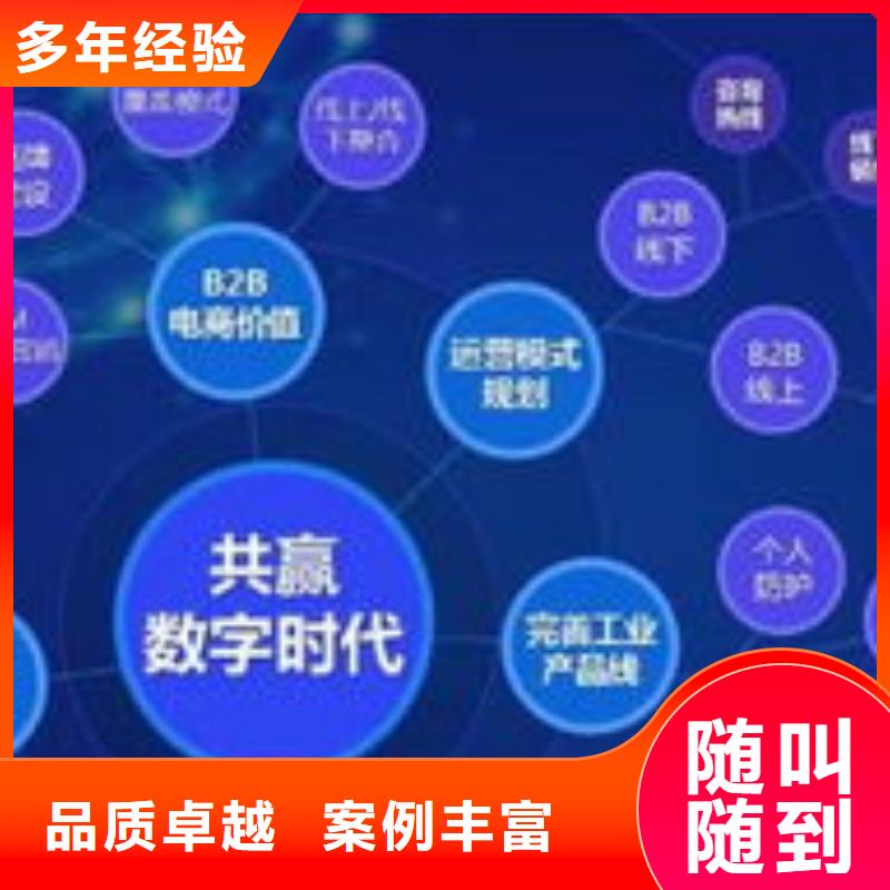 马云网络【网络公司】多年经验