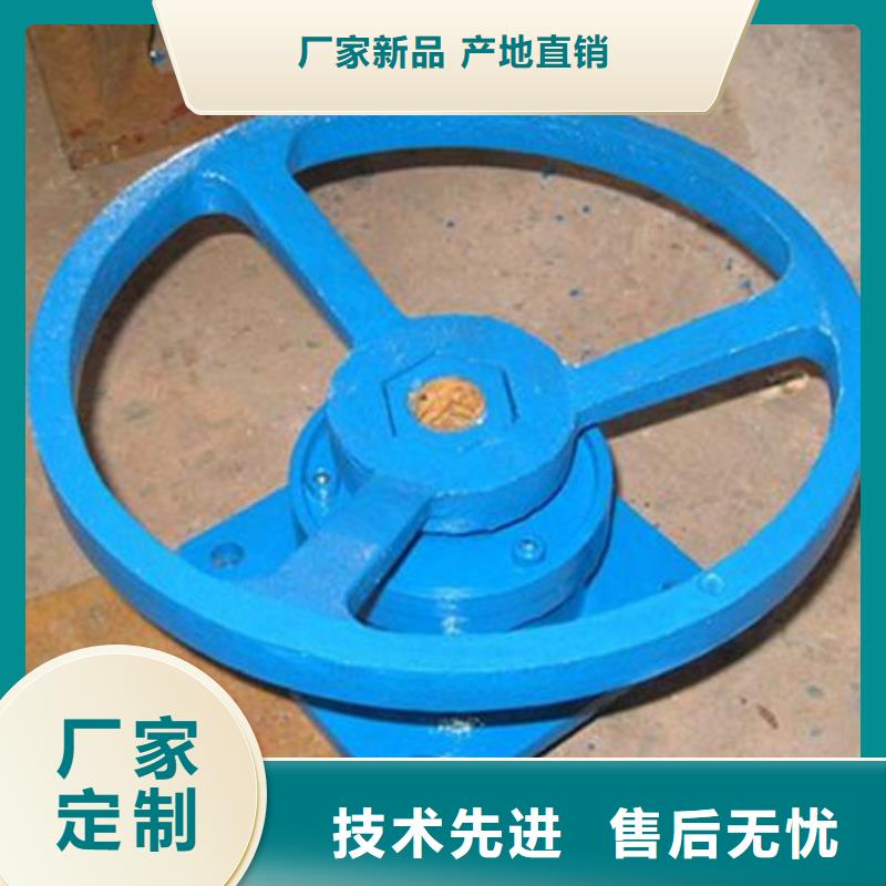 启闭机-拍门精选厂家好货