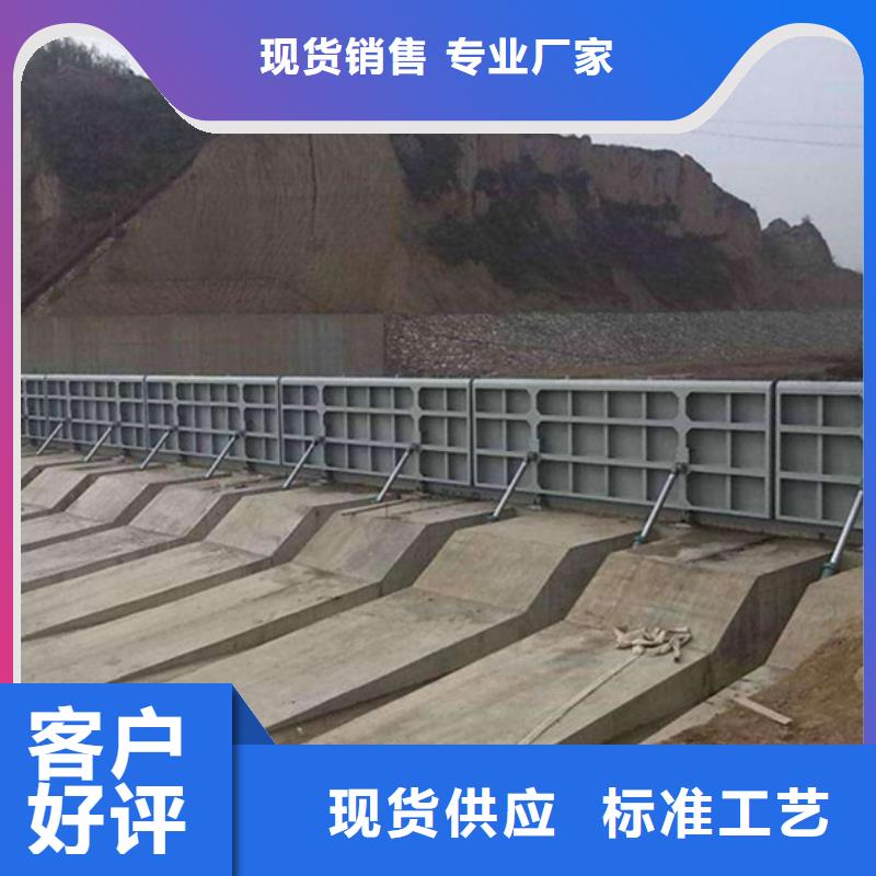 鋼閘門啟閉機(jī)廠家質(zhì)量安全可靠