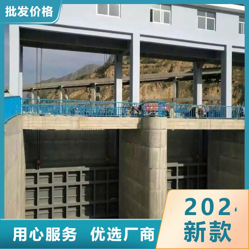 辽中区平面钢闸门18年水利机械生产经验