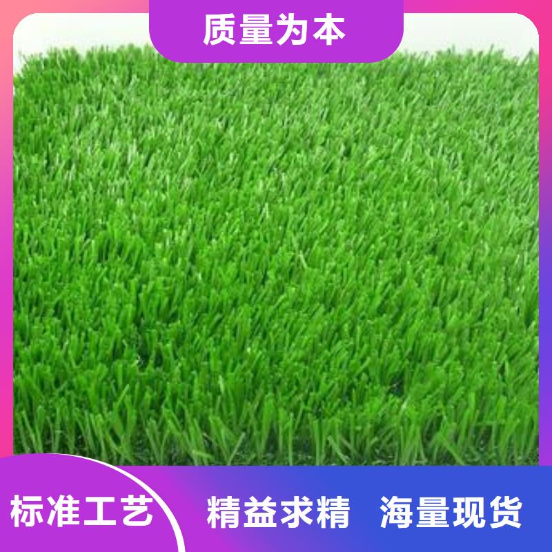 人造草坪塑膠跑道實力見證